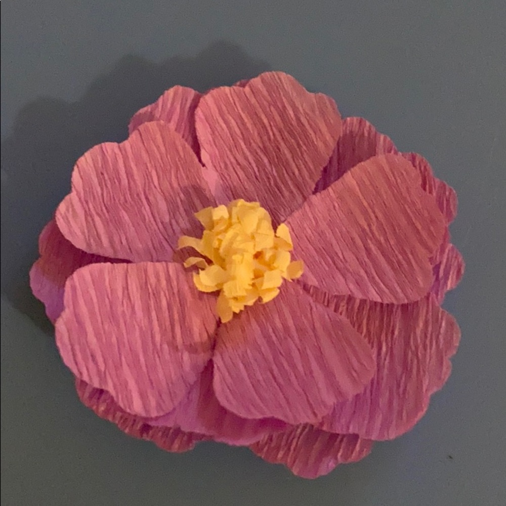 Meet your Posher, Trina